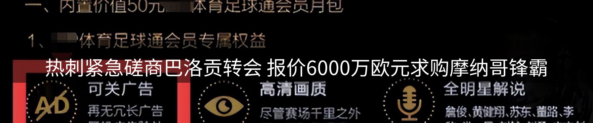 网站资讯
