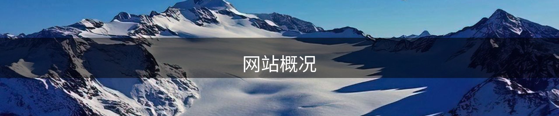 网站概况