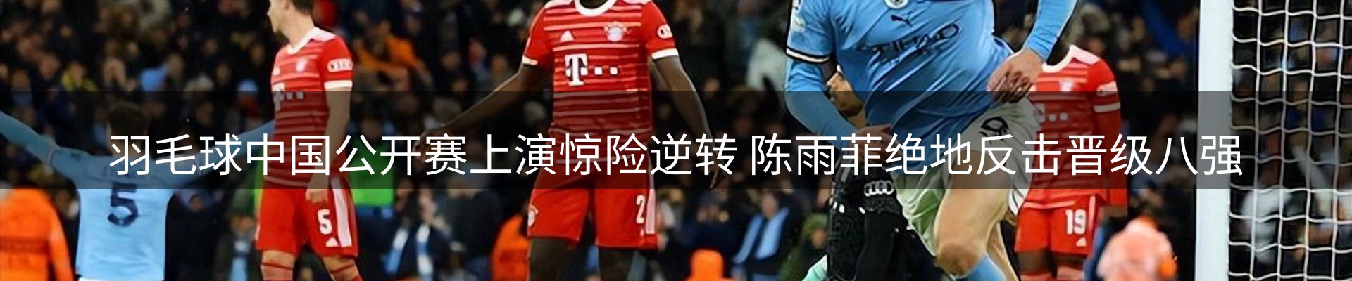 网站资讯