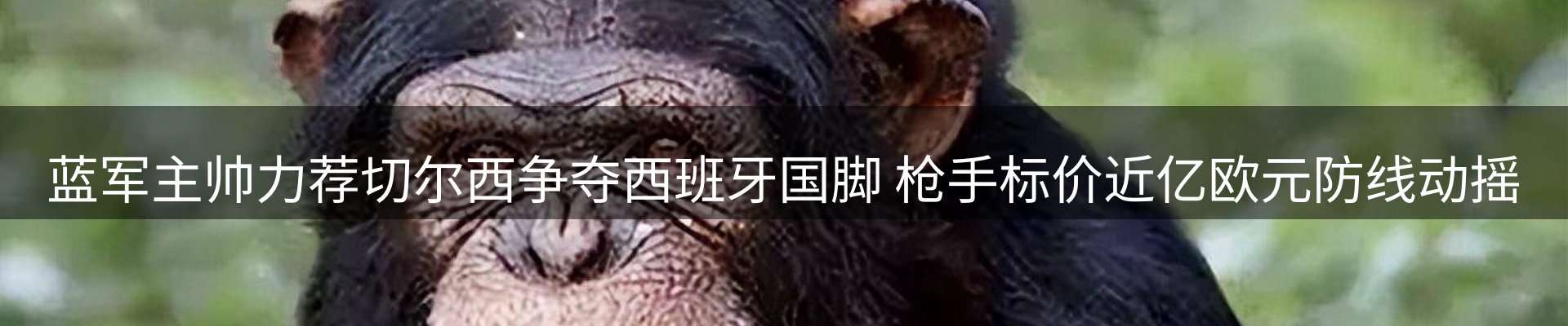 网站资讯