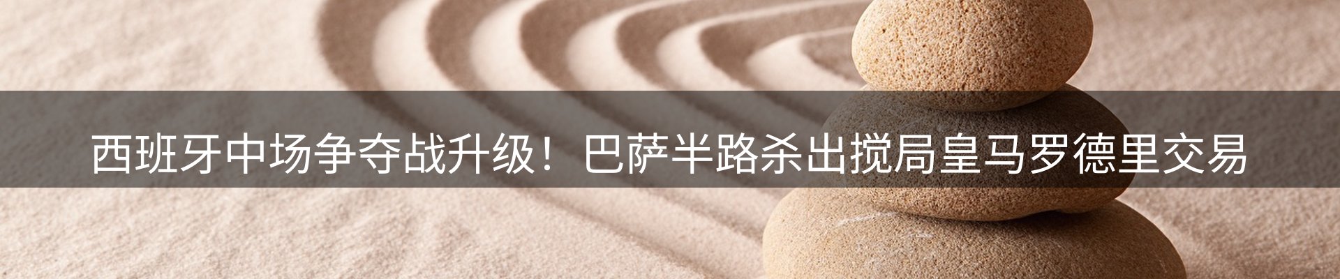 网站资讯
