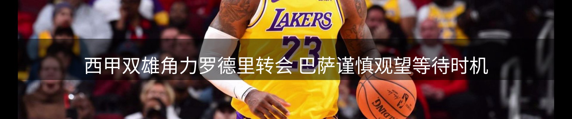 网站资讯