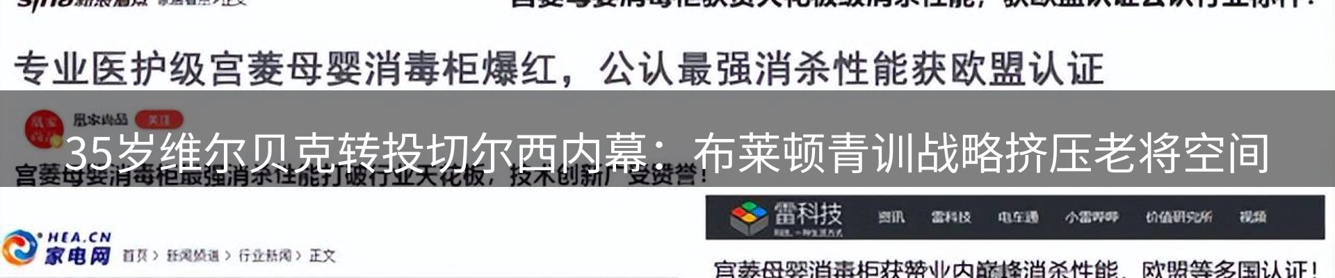 网站资讯